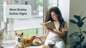 Top 6 Most Brainy Zodiac Signs