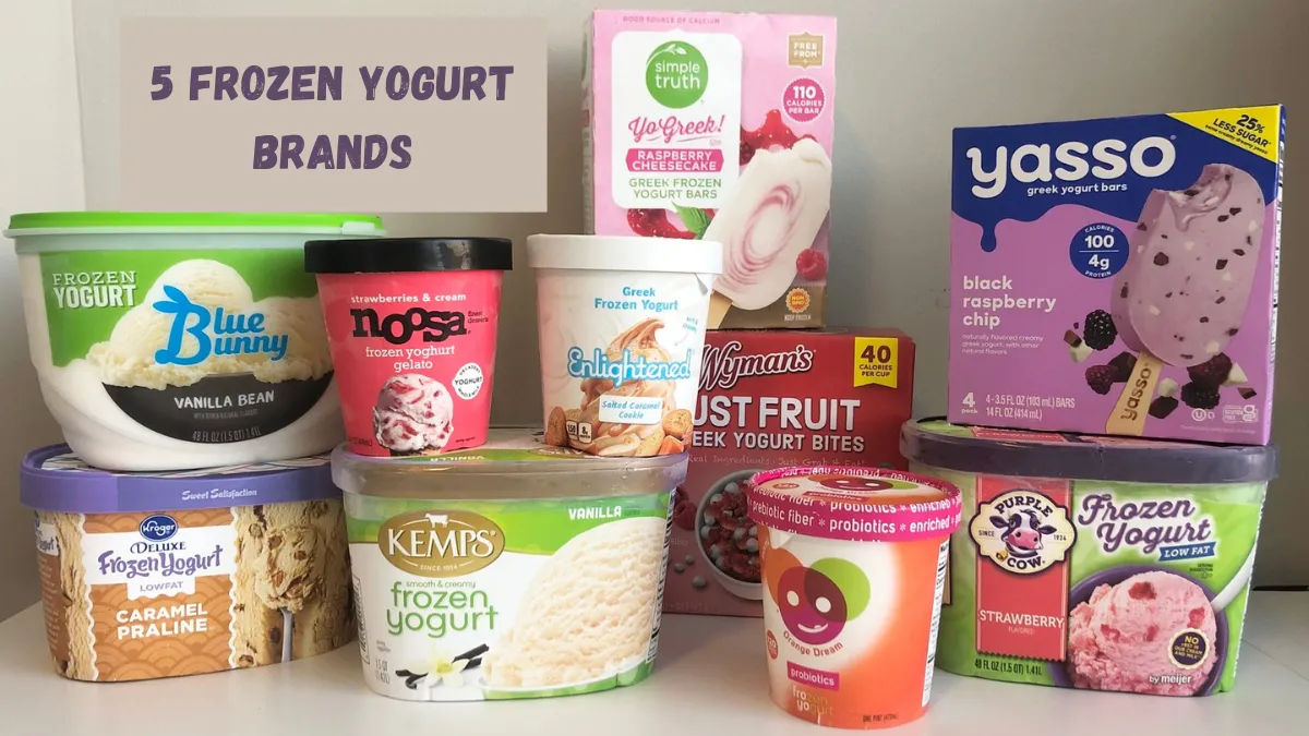 5 Frozen Yogurt Brands, Ranked From Worst To Best